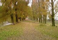 Чернишове з panoramio.com