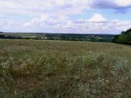 Бабчинці з panoramio.com