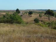 Верещиця з panoramio.com