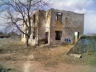 Тамарино - Последние фото