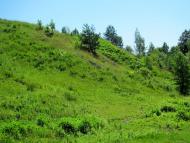 Губків з panoramio.com