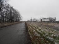 Черемушна з panoramio.com