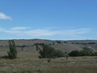 Вишенне - Останні фото