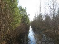 Гута з panoramio.com