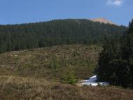 Видричка з panoramio.com