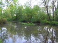 Ушомир з panoramio.com