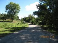 Коричинці - Останні фото