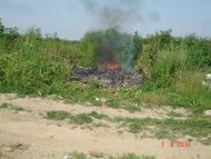 Динівці з panoramio.com