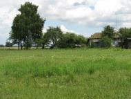 Куковичі з panoramio.com