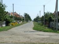 Червоне - Останні фото