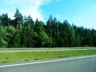 Октябрське з panoramio.com