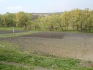 Халча з panoramio.com