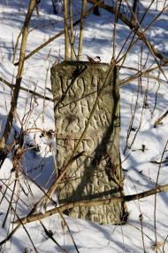 Великий Букрин з panoramio.com