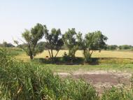 Лікнеп з panoramio.com