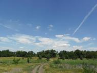 Малозахарине - Останні фото