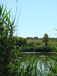 Антрацит з panoramio.com