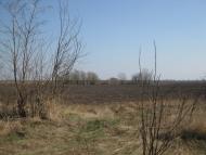 Підок з panoramio.com