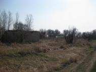 Підок з panoramio.com