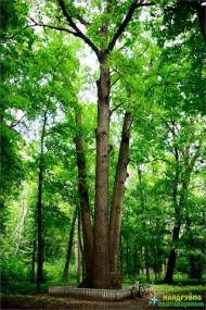 Хомутець з panoramio.com