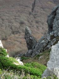 Лаванда з panoramio.com (ч.2) - Лаванда