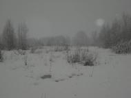 Рошняте з panoramio.com