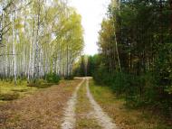 Винарівка з panoramio.com