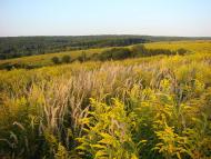 Повча з panoramio.com