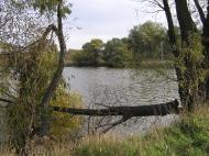 Варварівка з panoramio.com