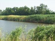 Лікнеп з panoramio.com