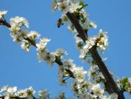 Глушицьке з panoramio.com