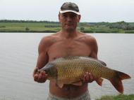 Салтичія - Останні фото