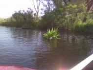 Кушугум з panoramio.com