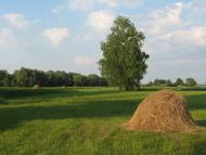 Куковичі з panoramio.com