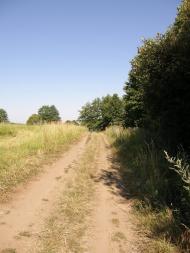 Дяківці з panoramio.com