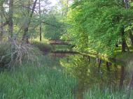 Ушомир з panoramio.com