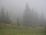 Видричка з panoramio.com