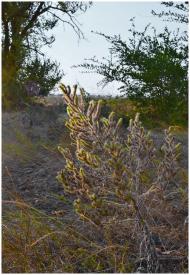 Громове з panoramio.com