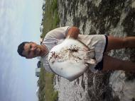 Сніжне з panoramio.com