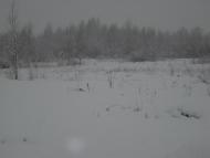 Рошняте з panoramio.com