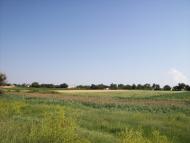 Лікнеп з panoramio.com