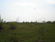 Біловежі Перші - Останні фото