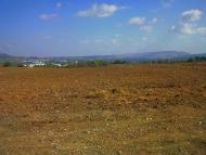 Поштове з panoramio.com