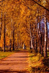 Шевченка з panoramio.com