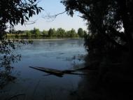 Куковичі з panoramio.com