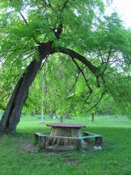 Ушомир з panoramio.com