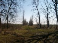 Артемовка - Последние фото