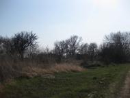 Підок з panoramio.com