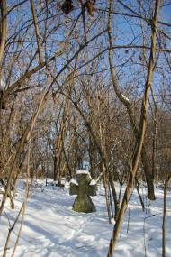 Великий Букрин з panoramio.com