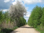 Руденька з panoramio.com