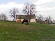 Вільне з panoramio.com